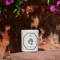 Bay Laurel Candle